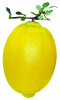 Jumbo Size Lemon Decoration